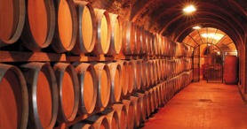 TPV, BODEGAS-VINOTECAS